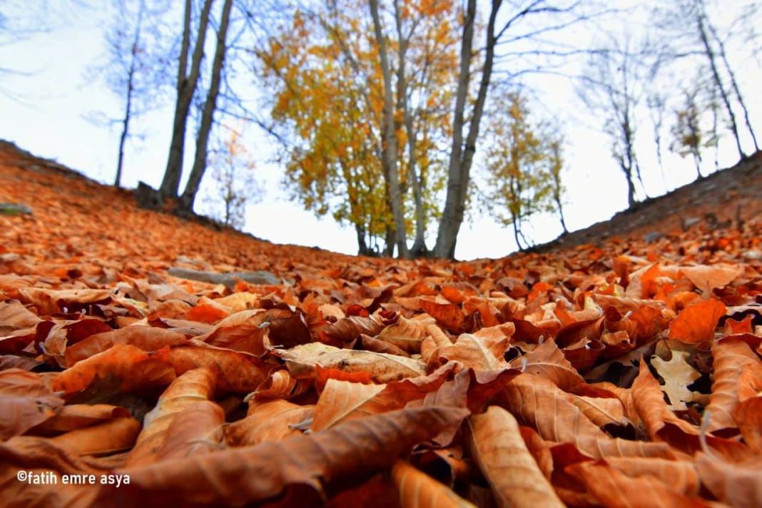 Kahramanmaraş’ta kare kare sonbahar 10