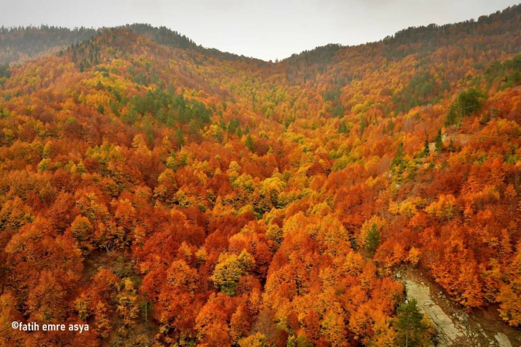 Kahramanmaraş’ta kare kare sonbahar 13