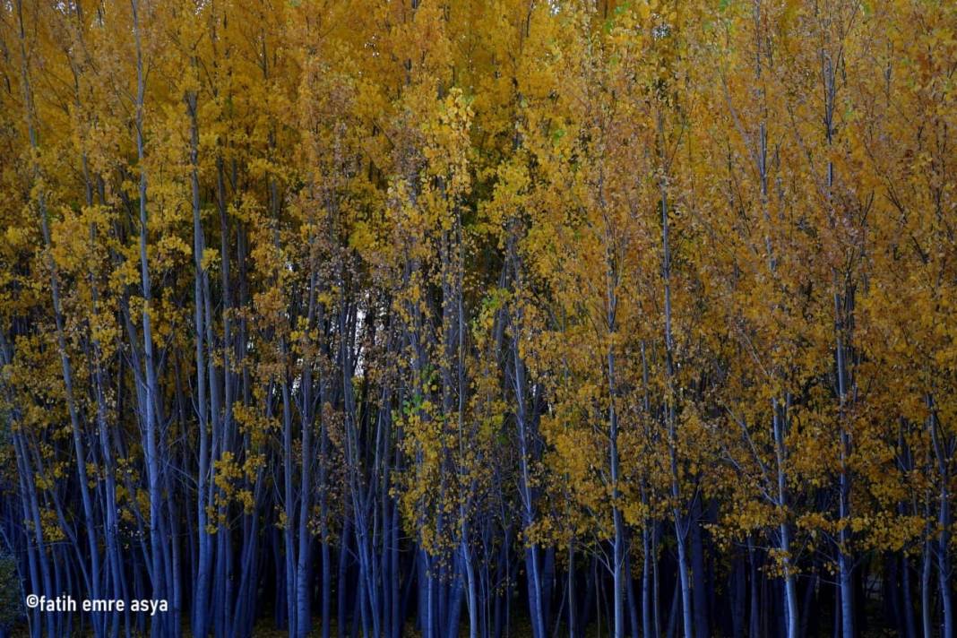 Kahramanmaraş’ta kare kare sonbahar 3