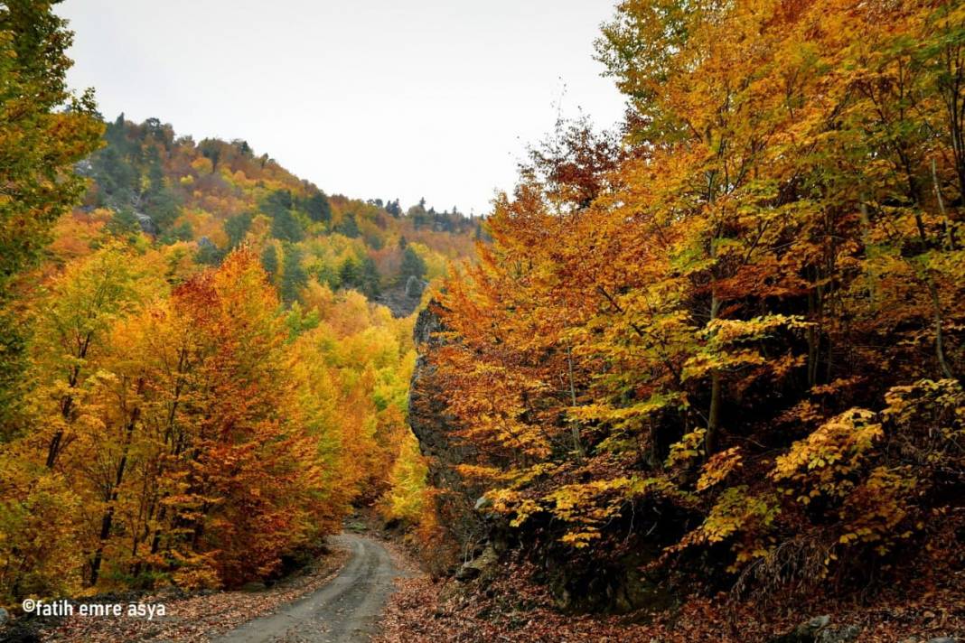 Kahramanmaraş’ta kare kare sonbahar 5