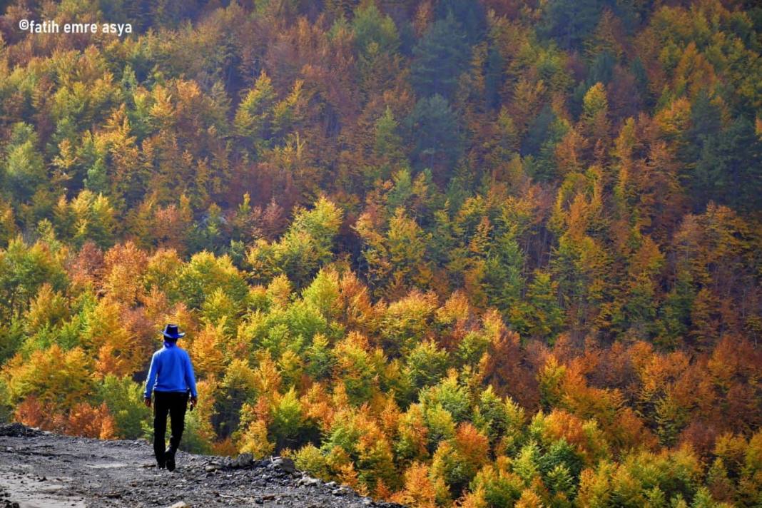 Kahramanmaraş’ta kare kare sonbahar 6