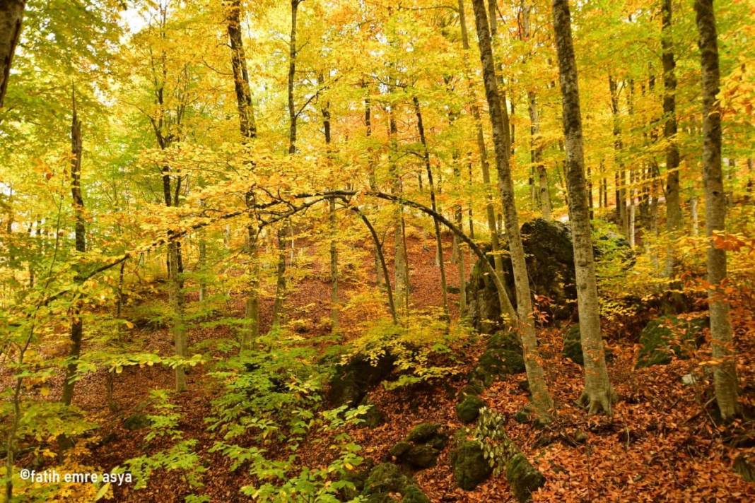 Kahramanmaraş’ta kare kare sonbahar 7