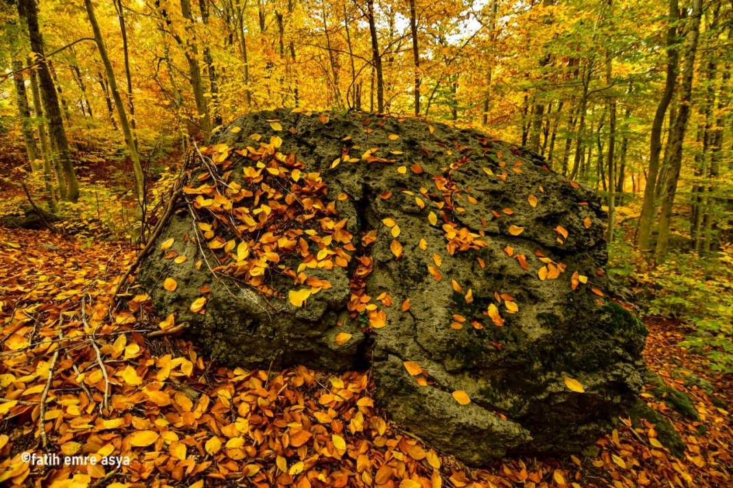 Kahramanmaraş’ta kare kare sonbahar 8