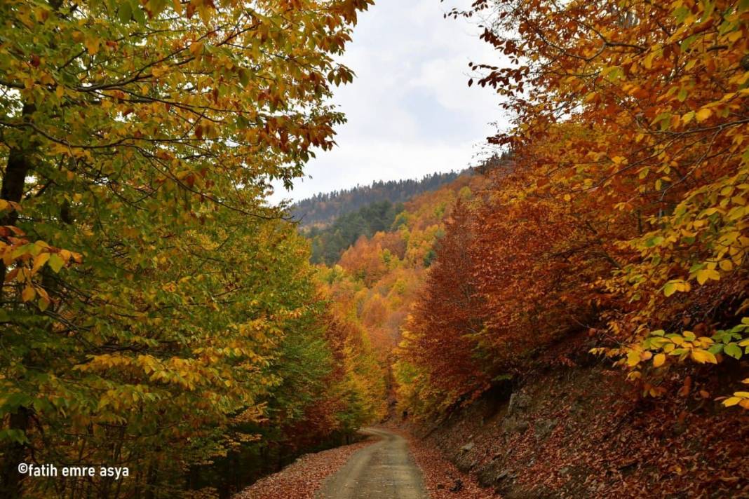 Kahramanmaraş’ta kare kare sonbahar 9