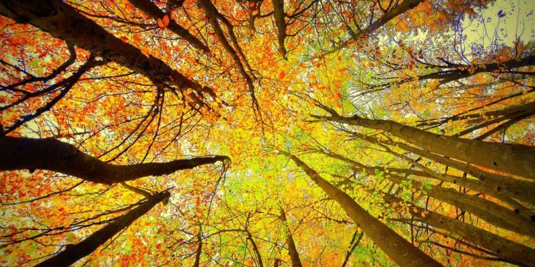 Kahramanmaraş’ta kare kare sonbahar