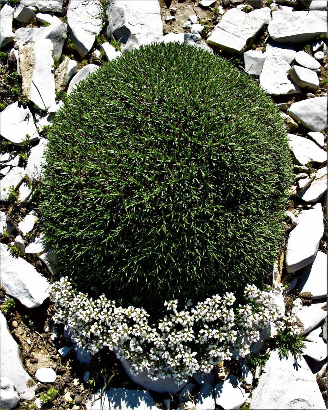 Ahir Dağ-Karagöl 12