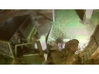 Sokak Kedilerini Besleyen Kadına Öldüresiye Dayak !