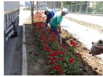 Kartepe’de Refüjlere Çiçek Dikildi