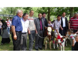 Düzce’de Dünya Süt Günü Kutlandı