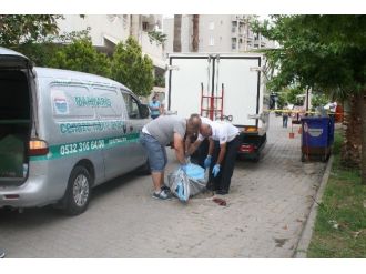 Kamyonetin Altında Kalan Yaşlı Kadın Öldü