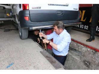 Köktaş’ın Seçim Gezileri