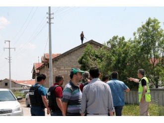 Babası Darp Edilince Pompalı Tüfekle Çatıya Çıktı