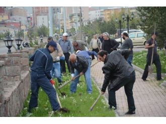 Fidan Dikim Çalışmaları Kür-kale Rekrasyon Alanıda Devam Ediyor