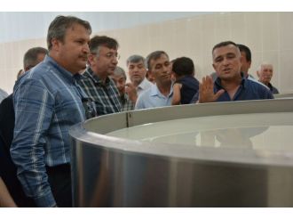 Süt Üreticileri Şimdiden Kazanmaya Başladı