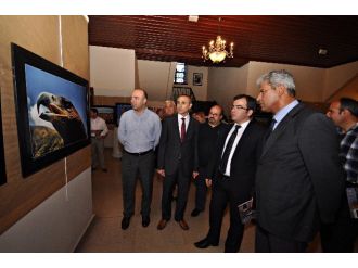 Güccan Ve Arsal’dan Anayurt Fotoğrafları Sergisi