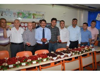 Şehzadeler, 26’ncı Kiraz Festivali’ne Renk Kattı