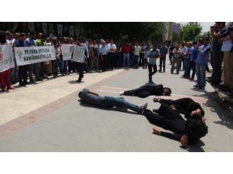 Batman’da Nükleer Santral Protestosu