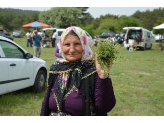 Şenlikte Buluştular