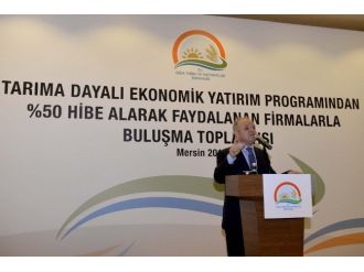 ’Tarıma Dayalı Ekonomik Yatırım Programları