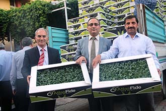 Domates Fideleri Çiftçilere Kazandırıldı