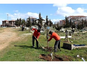 Mezarlıklarda, Temizlik Ve Bakım Çalışmaları Devam Ediyor