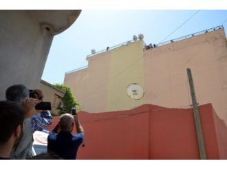 Şanlıurfa’da İntihar Etmek İsteyen Şahsı Polis Kurtardı