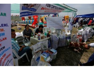 Dünya Çiftçi Günü Şenlikle Kutlandı