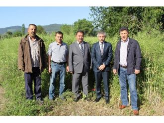Lenoks Yem Bitkisi Çiftçinin Yüzünü Güldürüyor
