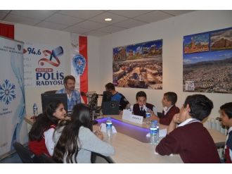 Mavi Kartaneleri Yarışıyor