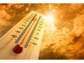 Aşırı Sıcaklar 500 Kişinin Ölümüne Yol Açtı