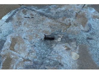 Almanya’da Türk Ailenin Evine Molotoflu Saldırı