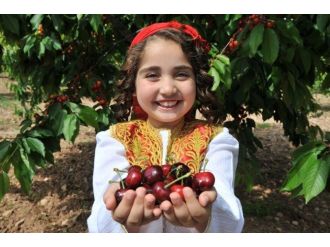 Buca Kiraz Festivali’ne Hazır