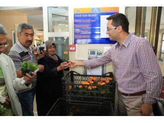Emlak Vergisini Yatıranlara Mevsimlik Çiçek Hediye