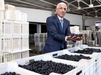 Sofralık Zeytine Zam Yok