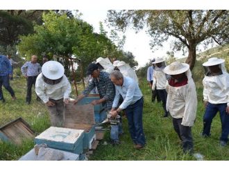 Manisa’da Arı Yetiştiriciliği Kursuna Yoğun İlgi