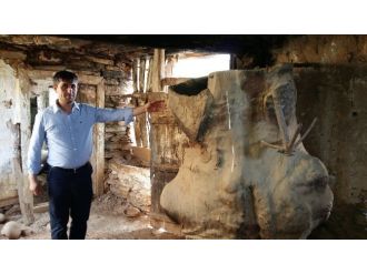 Asırlık Kütük Ambar Kaderine Terk Edildi