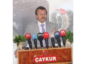 Çaykur’un Yaş Çay Alım Kotasında Rekor