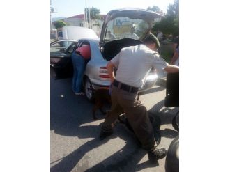 Araçtaki Eroini Narkotik Köpeği Buldu