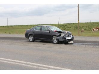 Karlıova’da Trafik Kazası: 4 Yaralı