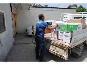 Büyükşehirden İlçe Belediyelere Haşereyle Mücadele Desteği