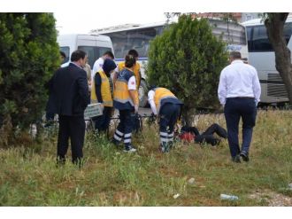 Ağacın Altında Bu Halde Bulundu