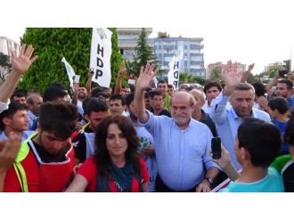 Hdp Milletvekili Kürkçü: “Lütfen Herkes Kedileri Sevsin”