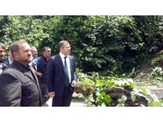 Hikmet Keskin, Heyelan Bölgesini İnceledi