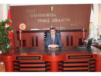 Çiftçilere Pamuk Desteği Yapılacak