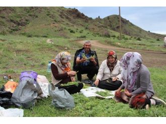 Oltu’da Çaşur Vakti