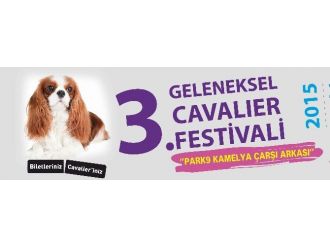 En Büyük Cavalier Festivali