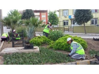 Soma, Kadınların Elleriyle Güzelleşecek