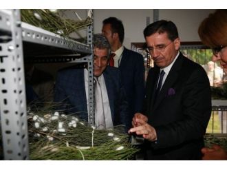 Vali Topaca, Defne Koza Evi’ni Ziyaret Etti