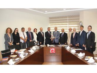 Kıvanç: Ceyhan Enerji Bölgesi İçin Rotterdam Model Olabilir