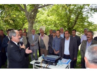 90 Bin Tl Değerindeki Aşılı Ceviz Projesinin İlk Adımı Atıldı